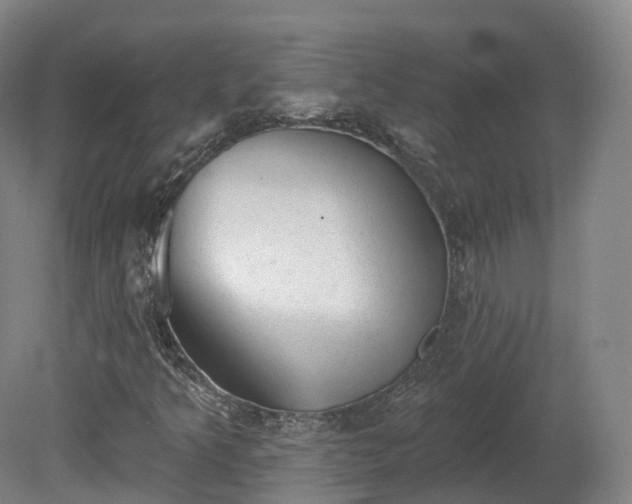 X0000080671349200612221106