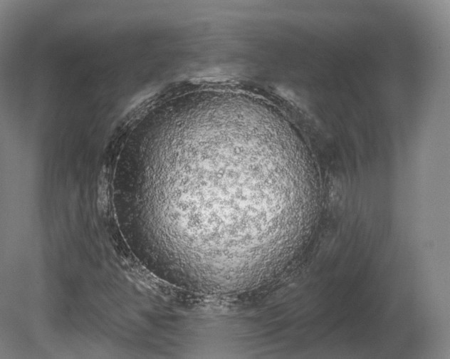 X0000080671350200612221106