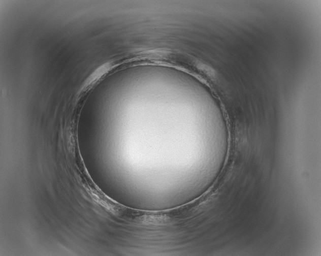 X0000080671354200612221106
