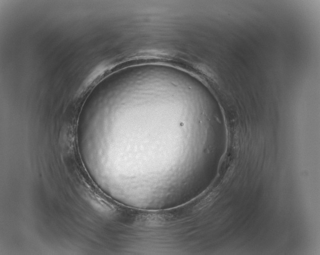 X0000080671355200612221106