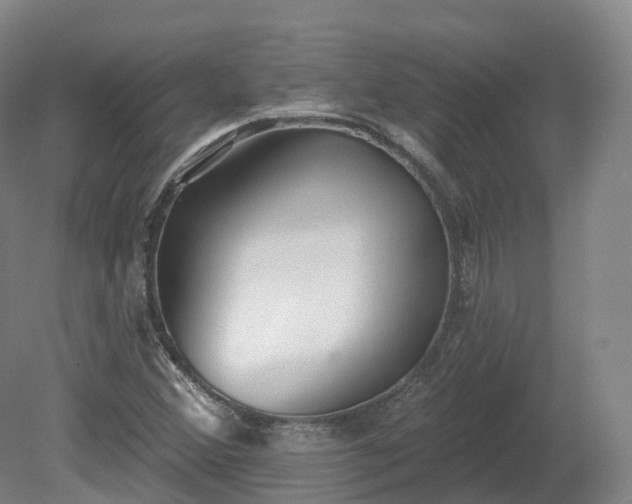 X0000080671356200612221106