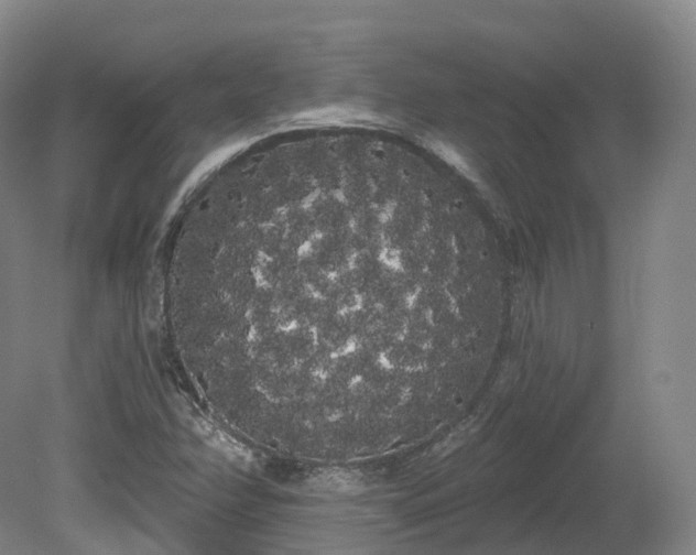 X0000080671358200612221106