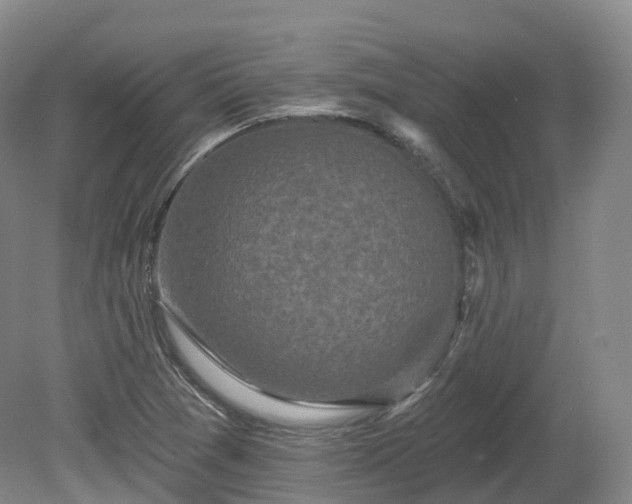 X0000080671361200612221106