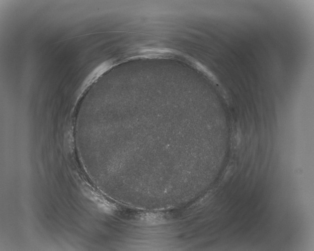 X0000080671362200612221106