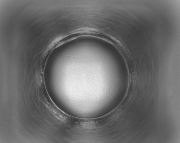 X0000080671363200612221106