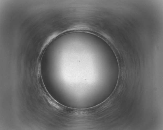 X0000080671366200612221106