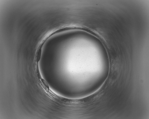 X0000080671367200612221106