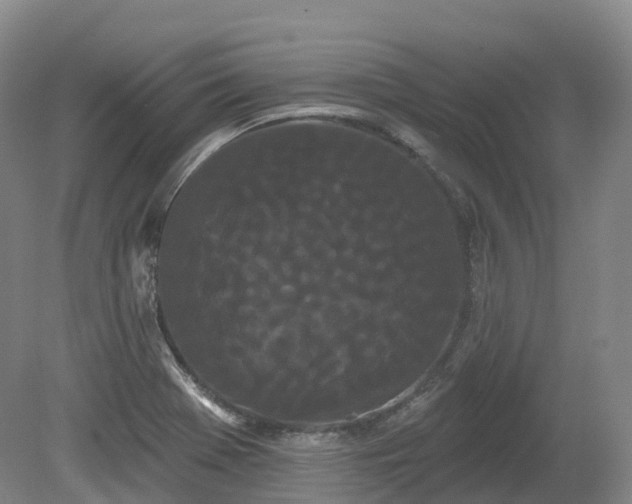 X0000080671369200612221106