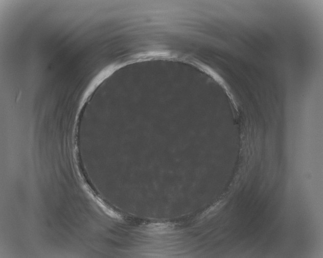 X0000080671373200612221106