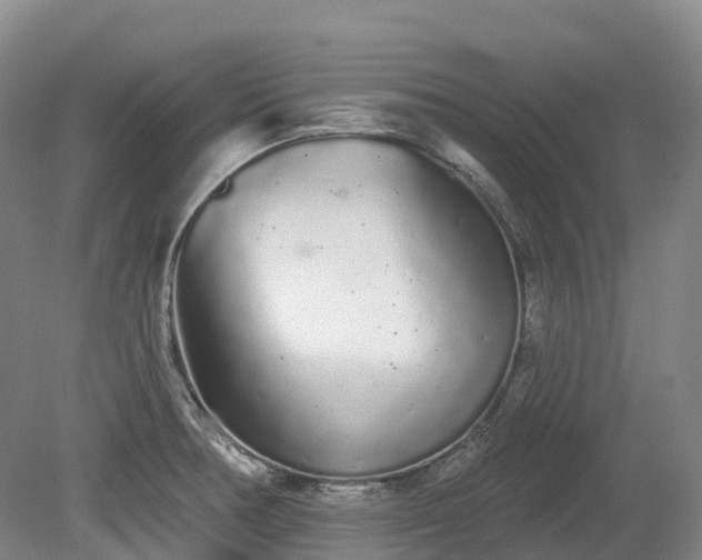 X0000080671378200612221105