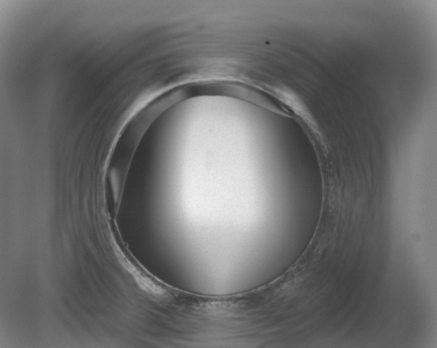 X0000080671380200612221105