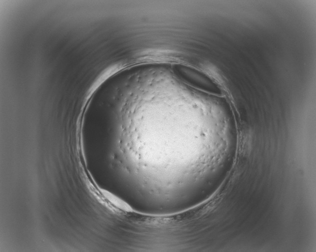 X0000080671386200612221105