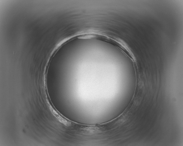 X0000080671388200612221105