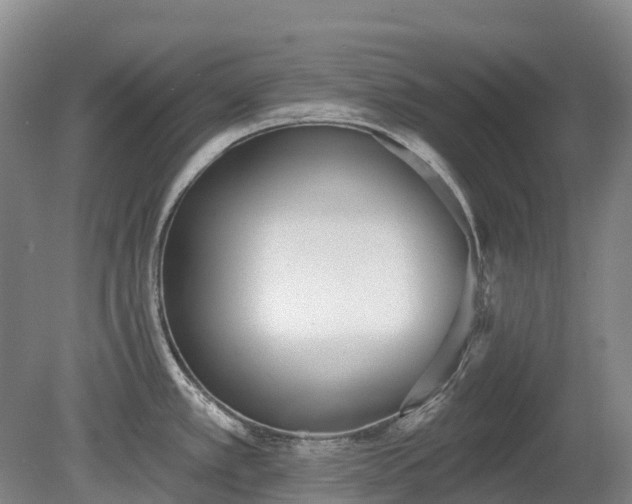 X0000080671389200612221105