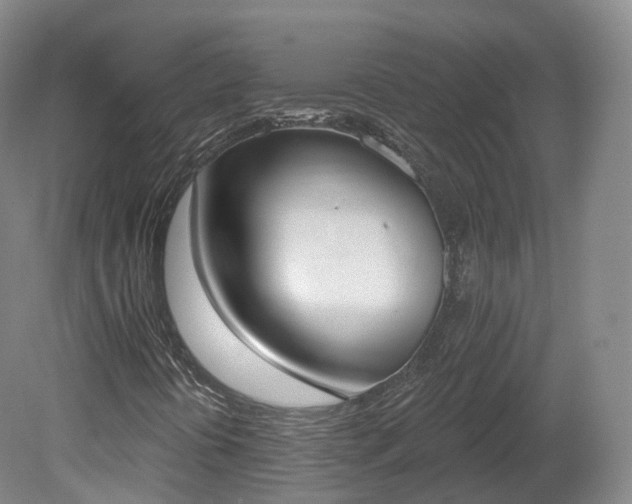 X0000080671394200612221104
