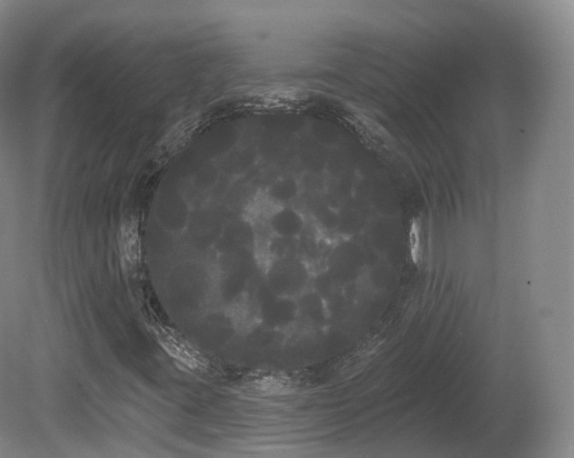 X0000080671395200612221104