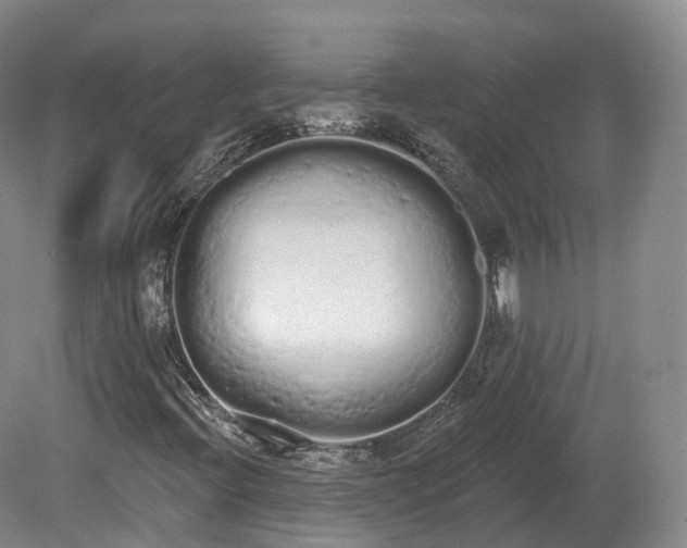 X0000080671396200612221104