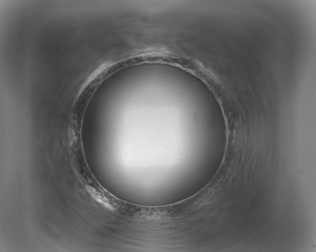 X0000080671400200612221105