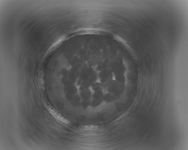 X0000080671403200612221105