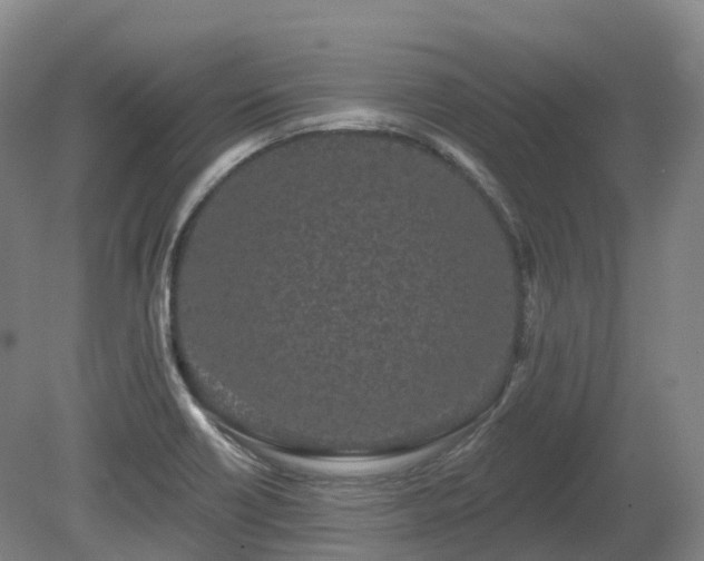 X0000080671418200612221105