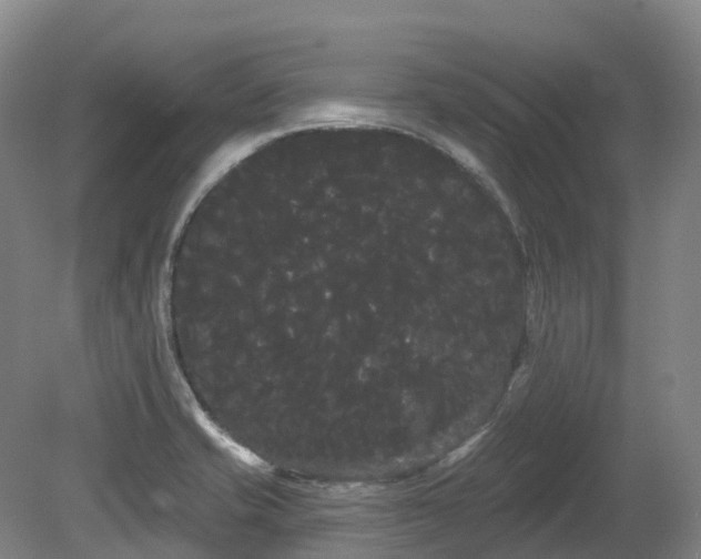 X0000080671421200612221105