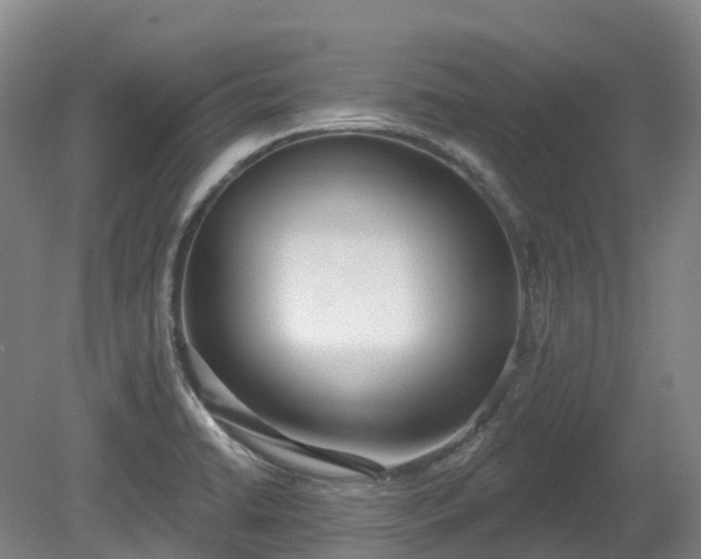 X0000080671422200612221105