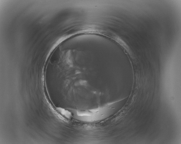 X0000080671428200612221105