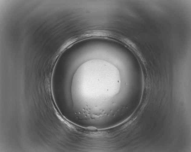 X0000080671433200612221105
