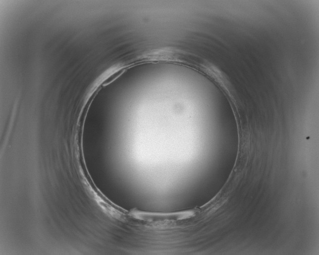 X0000080671434200612221105