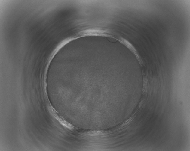 X0000080671435200612221105
