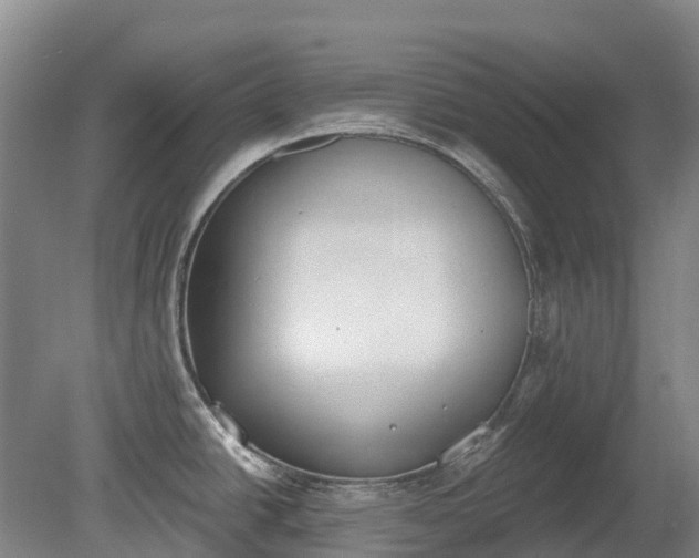 X0000080671438200612221105