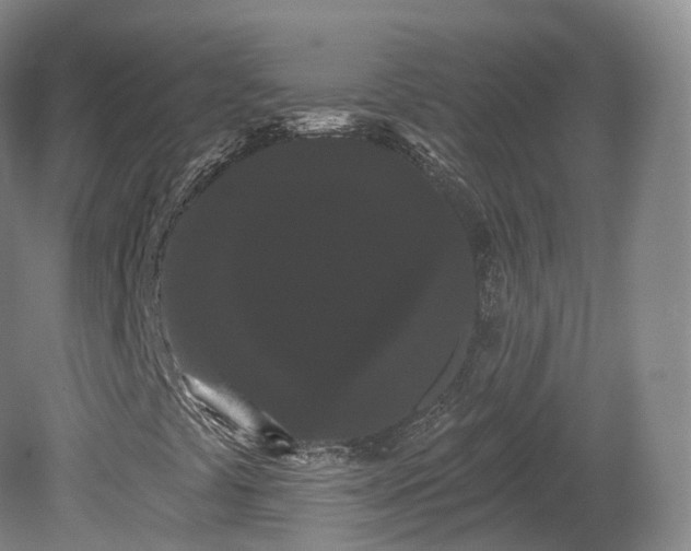 X0000080671441200612221104