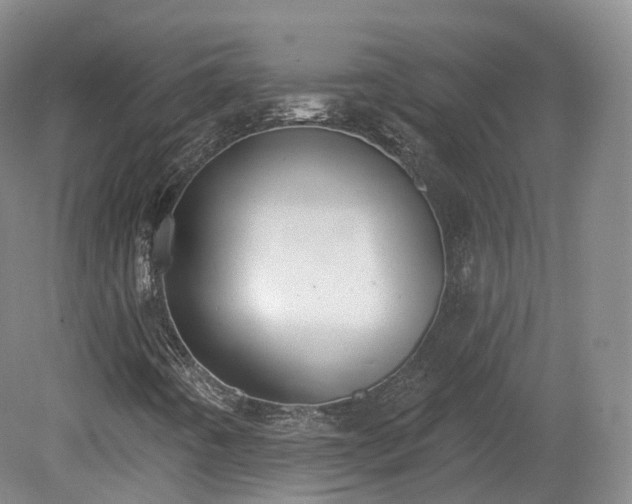 X0000080671442200612221104