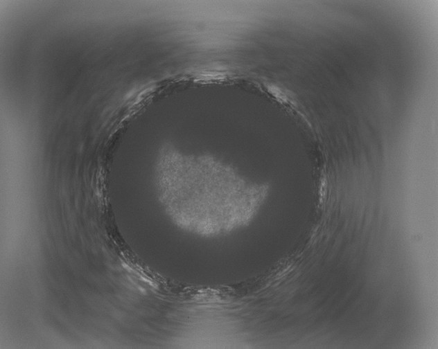 X0000080671445200612221104