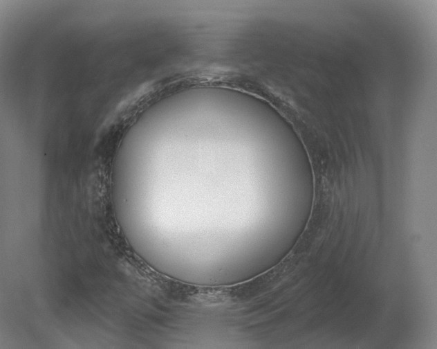 X0000080671447200612221104
