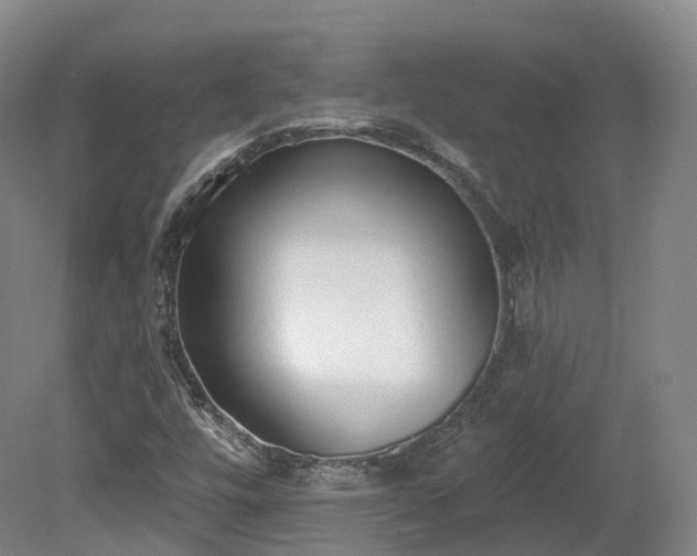 X0000080671448200612221104