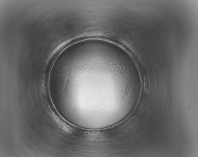 X0000080671452200612221104