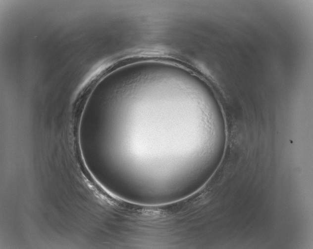 X0000080671456200612221104