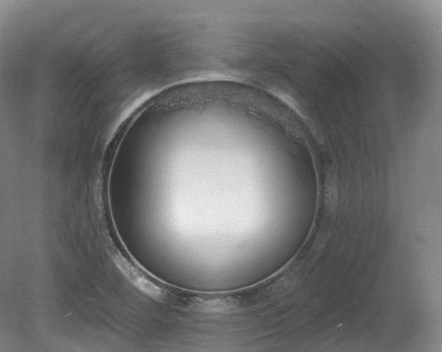X0000080671460200612221104