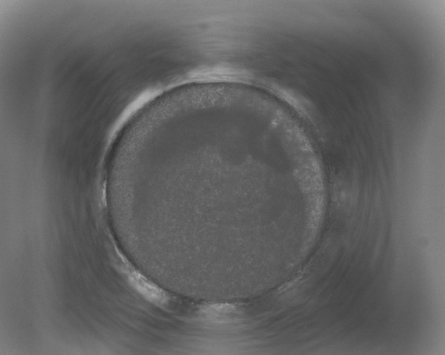 X0000080671462200612221104