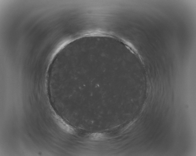 X0000080671463200612221104
