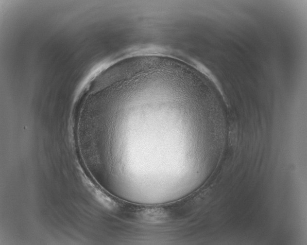 X0000080671464200612221104