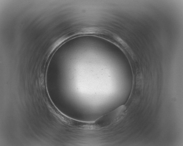 X0000080671465200612221104