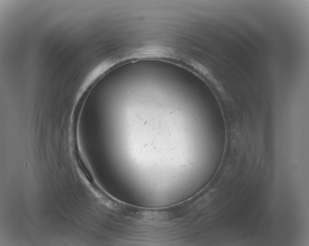 X0000080671469200612221104