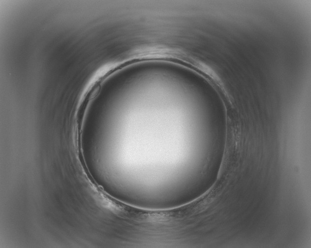 X0000080671472200612221104