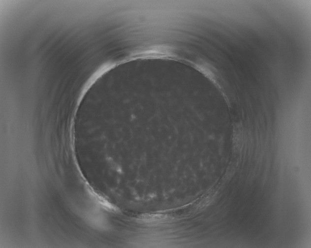 X0000080671474200612221104