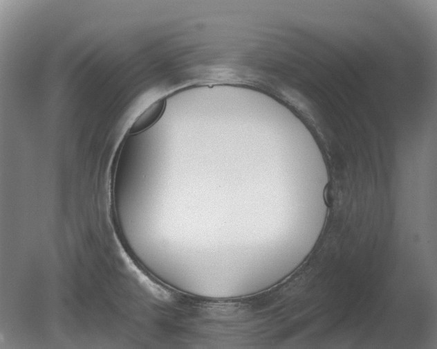 X0000080671479200612221104