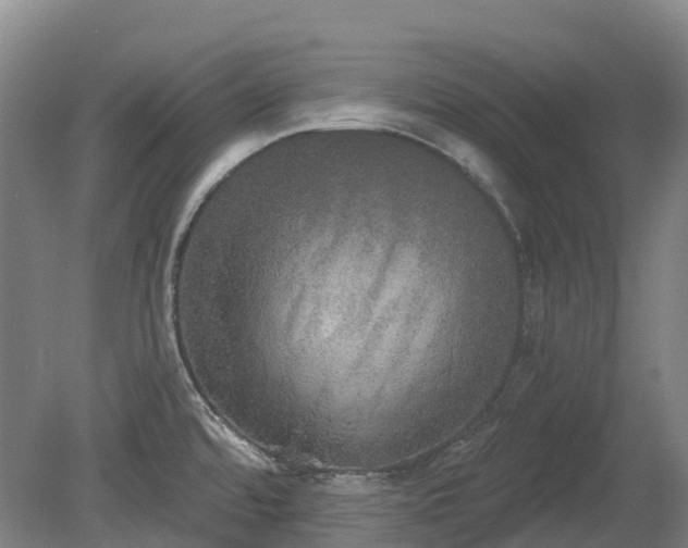X0000080671480200612221104