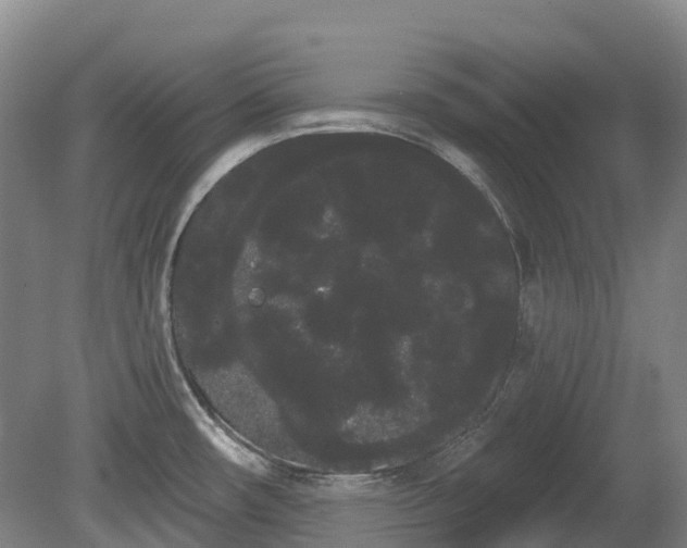 X0000080671482200612221104