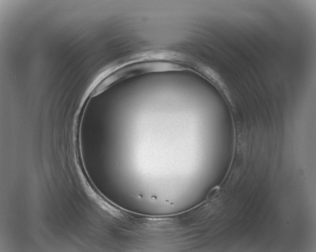 X0000080671483200612221104
